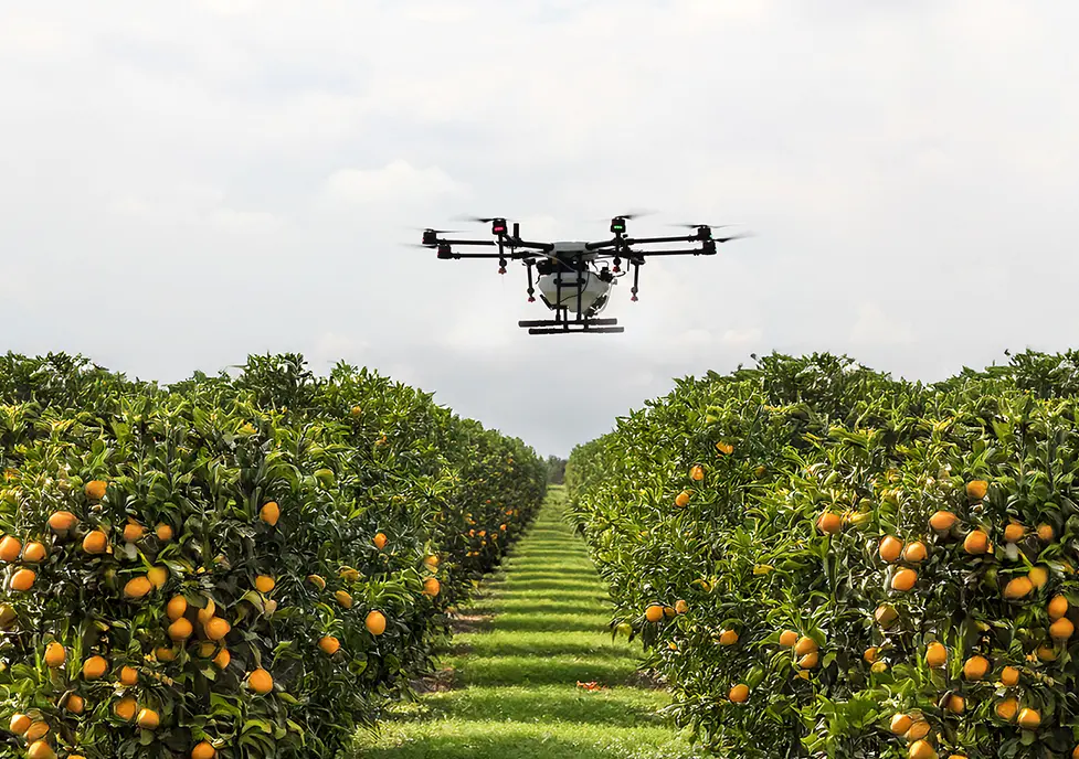 Especialistas en tratamientos fitosanitarios y fertilizantes con drones